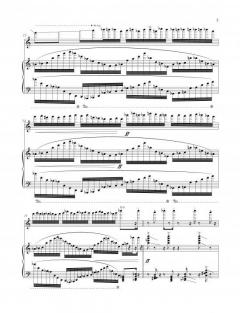 The Mangle of Practice von George Lewis 