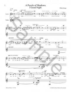 A Puzzle of Shadows von Philip Grange 