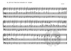 Orgelvorspiele Band 2: Osterzeit bis Lob und Dank von Gottfried Cech im Alle Noten Shop kaufen