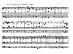 Orgelvorspiele Band 2: Osterzeit bis Lob und Dank von Gottfried Cech im Alle Noten Shop kaufen