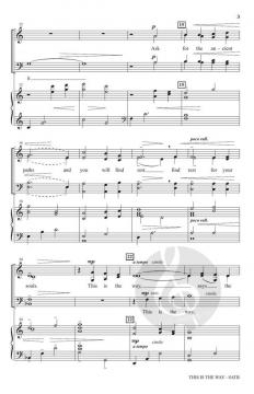 This Is the Way von David Schwoebel 