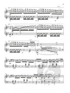 Ungarische Rhapsodie Nr. 3 von Franz Liszt 