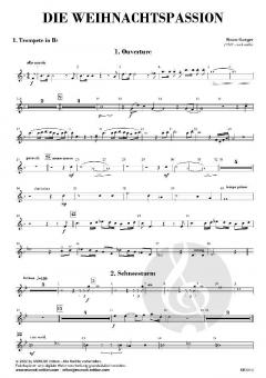 Die Weihnachtspassion von Simon Gamper 