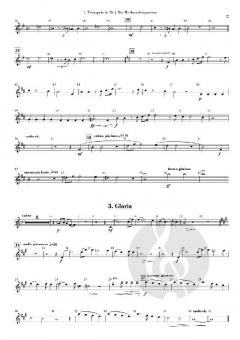 Die Weihnachtspassion von Simon Gamper 