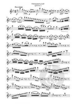 Flötenquartett  g-moll op.69 von Georg Schneder 