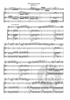 Flötenquartett  g-moll op.69 von Georg Schneder 