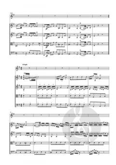 Flötenkonzert e- moll  von Carl Ditters von Ditterdorf im Alle Noten Shop kaufen