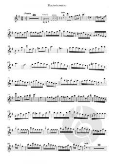 Flötenkonzert e- moll  von Carl Ditters von Ditterdorf im Alle Noten Shop kaufen