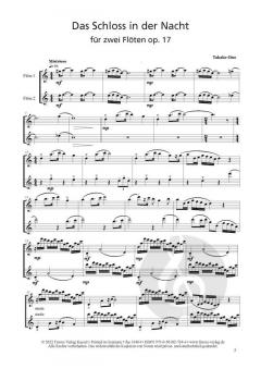 Das Schloss in der Nacht op. 17 von Takako Ono 