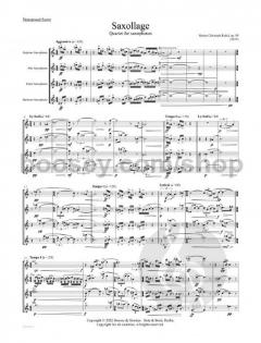 Saxollage op. 94  von Martin Christoph Redel im Alle Noten Shop kaufen (Partitur)