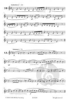 Zingarelli Studies for Trumpet im Alle Noten Shop kaufen