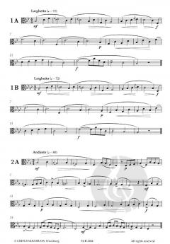 Zingarelli Studies for Alto Trombone 