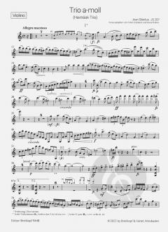 Trio a-moll JS 207 von Jean Sibelius 