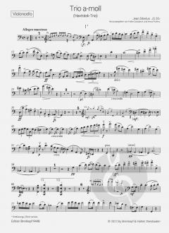 Trio a-moll JS 207 von Jean Sibelius 