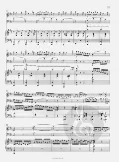 Trio D-dur JS 209 von Jean Sibelius 