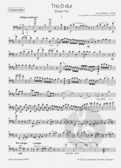 Trio D-dur JS 209 von Jean Sibelius 