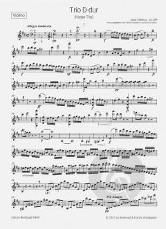 Trio D-dur JS 209 von Jean Sibelius 
