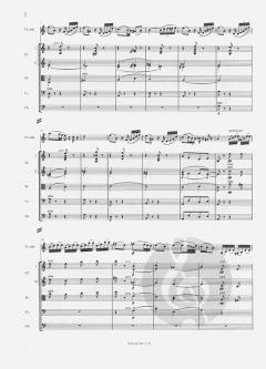 Introduction et Rondo capriccioso op. 28 