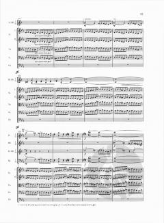 Lemminkäinen und die Mädchen auf der Insel op. 22/1 