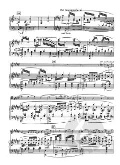 Don Quixote op. 35 von Richard Strauss 