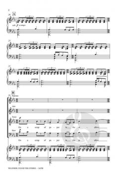 Weather: Stand the Storm 