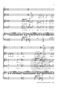 Weather: Stand the Storm 