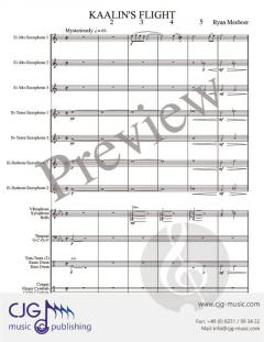 Kaalin's Flight von Ryan Meeboer 