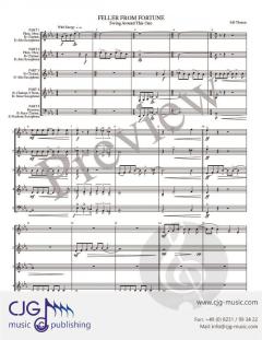 Feller From Fortune von Bill Thomas 