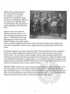 Ragtime Mandolin von Joseph Weidlich im Alle Noten Shop kaufen