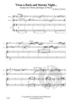 Twas A Dark and Stormy Night von Kerry Turner 