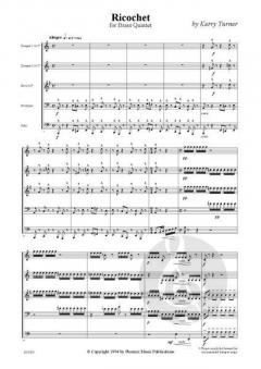 Ricochet von Kerry Turner 