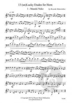 13 (Un)Lucky Etudes von Ricardo Matosinhos 