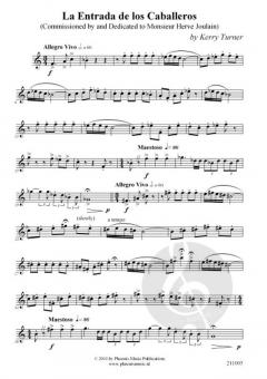 9 Pieces von Kerry Turner 