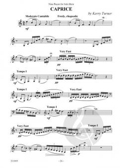 9 Pieces von Kerry Turner 