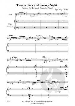Twas a Dark and Stormy Night von Kerry Turner 