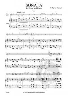 Sonata von Kerry Turner 