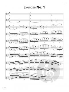 Advanced Scale Studies for Viola  im Alle Noten Shop kaufen