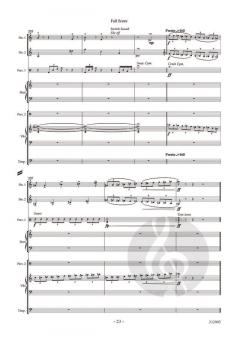 The Marvelous and Intriguing Adventures of Cabeza de Vaca 