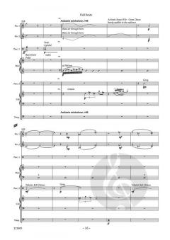 The Marvelous and Intriguing Adventures of Cabeza de Vaca 