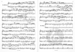 Brandeburg concerto n. 5 BWW 1050 