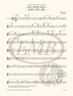 Hill, Wind, Blue von Zsolt Serei 