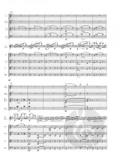 Konzert e-moll op. 64 MWV O 14  