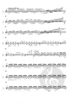 Konzert e-moll op. 64 MWV O 14  