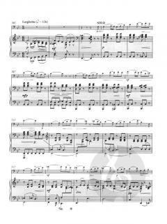 Konzert Nr. 1 d-moll op. 193 von Joseph Joachim Raff 