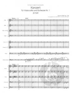 Konzert Nr. 1 d-moll op. 193 