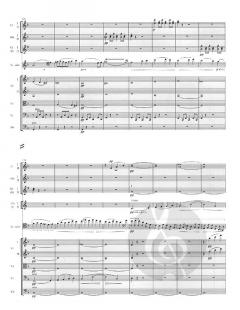 Konzert Nr. 1 d-moll op. 193 