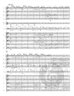 Konzert Nr. 1 d-moll op. 193 