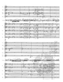 Konzert Nr. 1 d-moll op. 193 