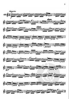 Neue Violin Etüden Heft 2 von Robert Pracht im Alle Noten Shop kaufen