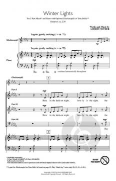 Winter Lights von Audrey Snyder 
